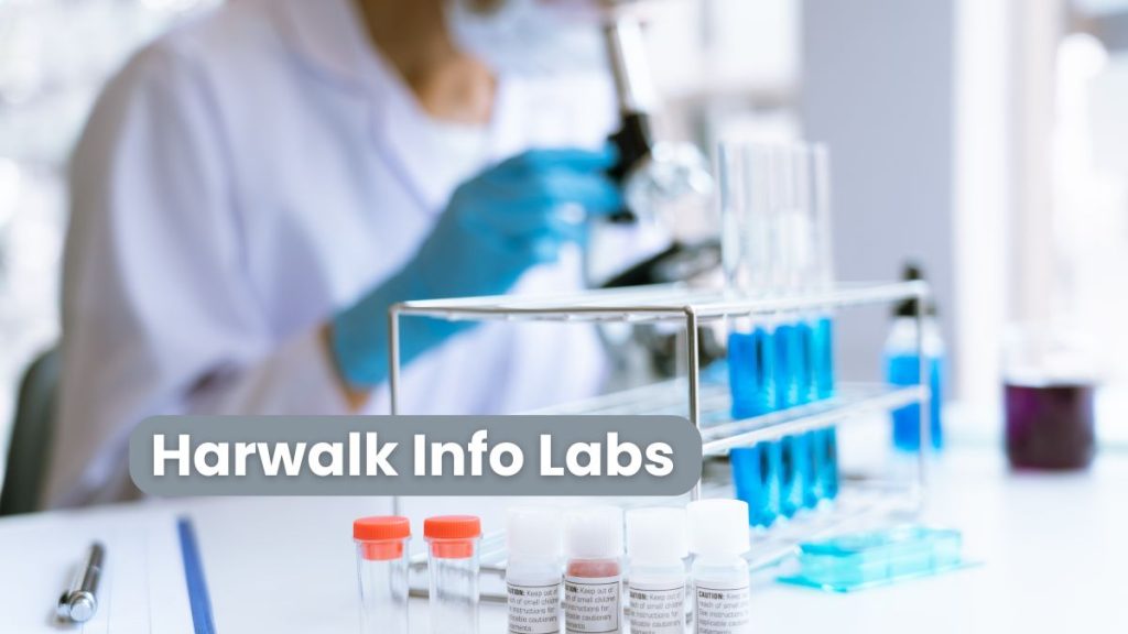 Harwalk Info Labs: Pioneering Innovation in Technology Solutions