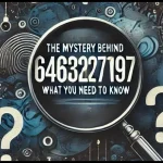 Discovering the Mystery Behind 6463276197: Who Is Calling You?