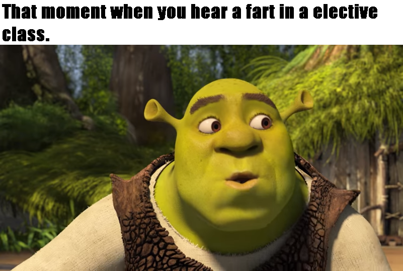 Fart Team Memes